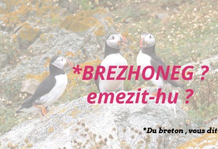 Kemennadenn : Gweladenn Prezidant ar Republik war ar Jentilez (22) e Breizh